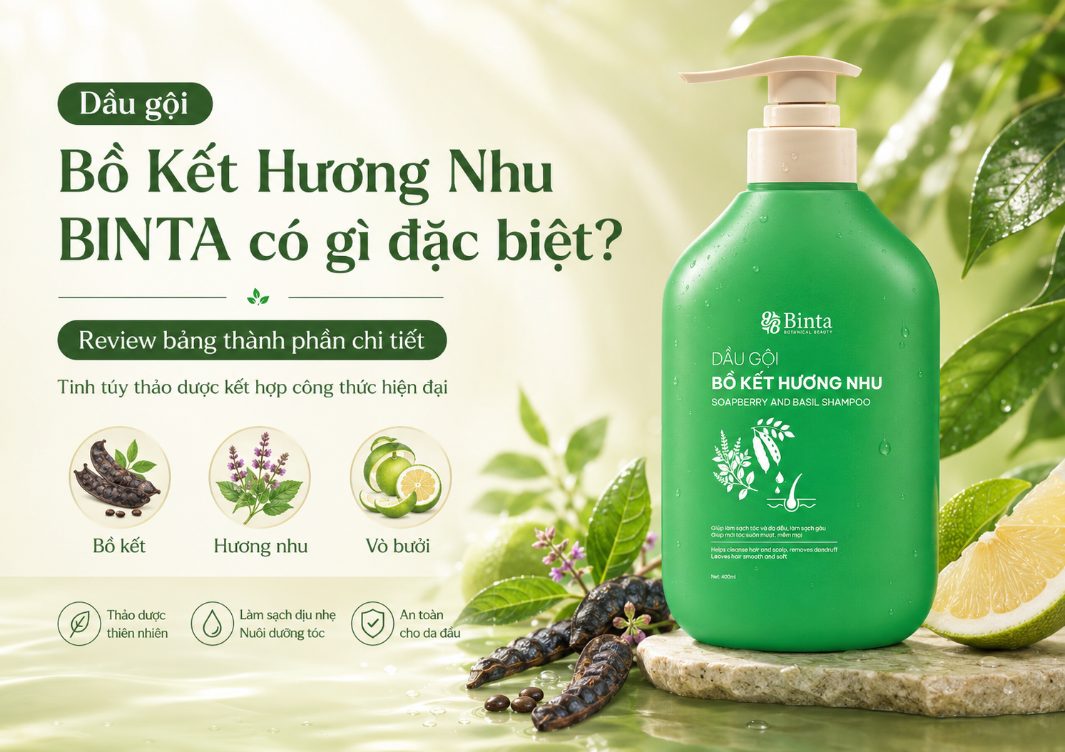 Dầu gội Bồ Kết Hương Nhu BINTA có gì đặc biệt? Review bảng thành phần chi tiết